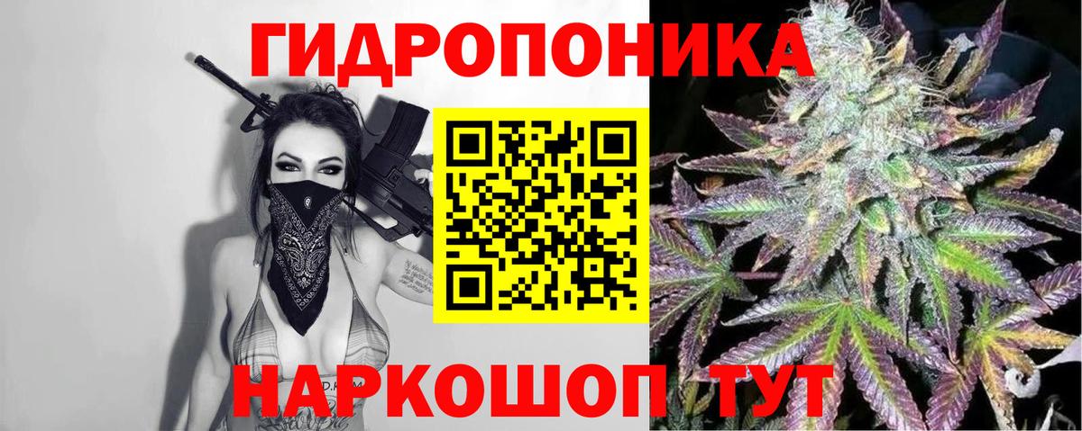 Каннабис гибрид  Шишки марихуана индика  Гурьевск  Бошки марихуана AK-47  Вход с VPN 